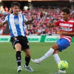 Luis Milla con el Granada. EFE/Pepe Torres.