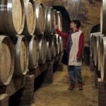 Bodega del Cerrato palentino