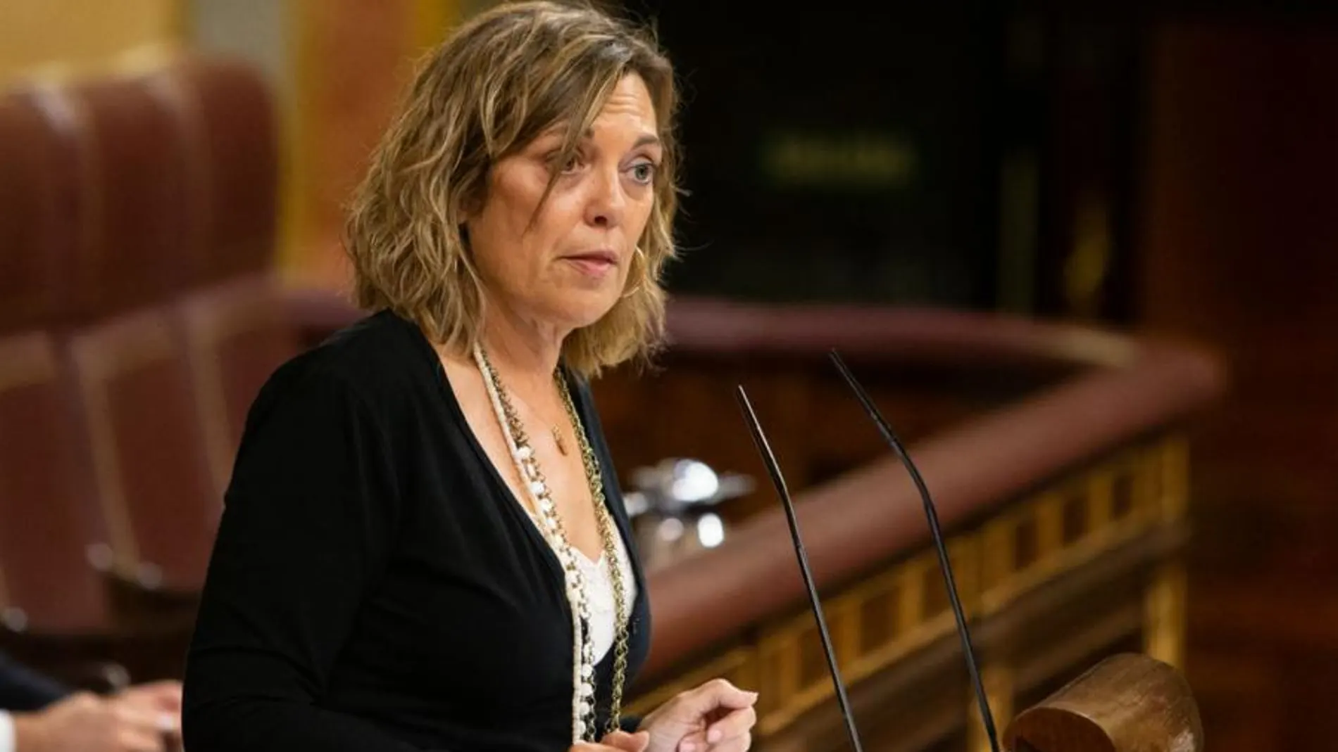 La diputada del PP por Palencia, Milagros Marcos, interviene en el Congreso