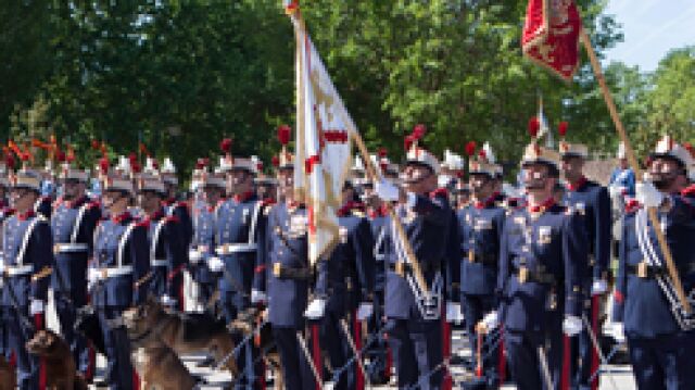 La Guardia Real con la Cruz de Borgoña en su estandarte