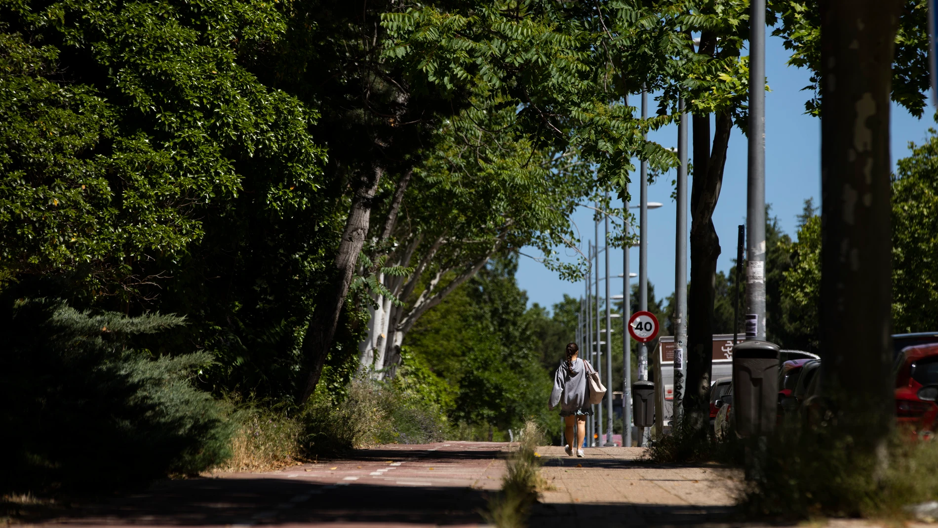 Ciudad Universitaria es una de las zonas que presentan niveles altos de polen