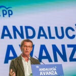El presidente del Partido Popular, Alberto Núñez Feijóo, en Sevilla.Eduardo Briones / Europa Press