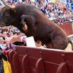Un toro salta la talanquera durante el vigésimo tercer festejo de San Isidro celebrado este lunes en Las Ventas, Madrid, con toros de la ganadería Samuel Flores. EFE/Zipi Aragón