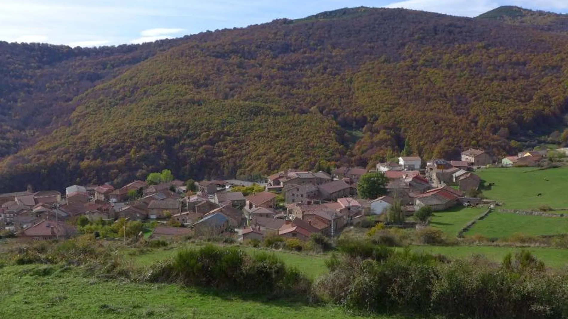 Imagen de Brañosera y del Bosque de la Pedrosa
