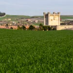 El robo de cobre derivó en cortes de suministro a unos 500 vecinos de una urbanización del municipio vallisoletano de Fuensaldaña.