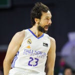 Sergio Llull
