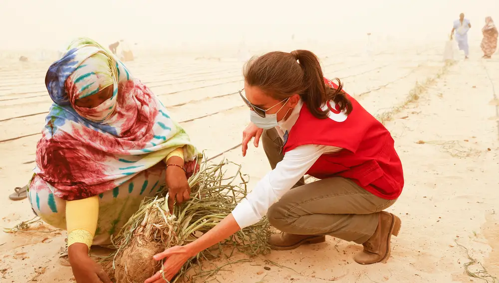 NUAKCHOT, 02/06/2022.- La reina Letizia visita un proyecto de huertos urbanos financiado por la cooperación española, este jueves en Nuakchot, en el último día de su viaje a Mauritania. EFE/ Chema Moya