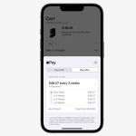 La nueva función Apple Pay Later.