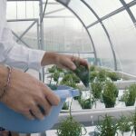 A través de ARQUIMEA Research Center ejecutan proyectos para proteger el Medioambiente