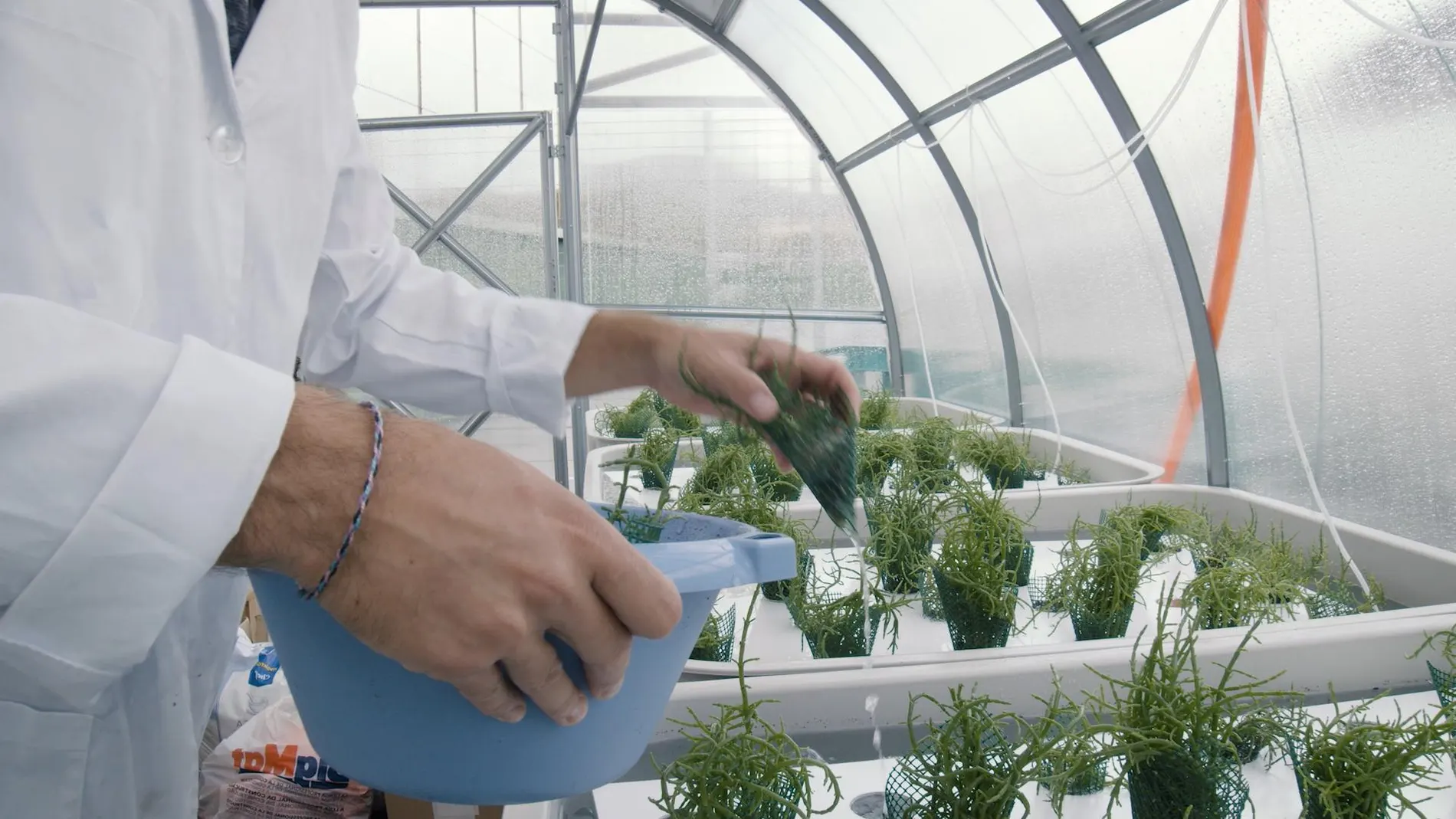 A través de ARQUIMEA Research Center ejecutan proyectos para proteger el Medioambiente