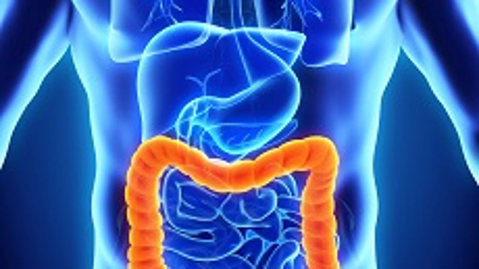El cáncer colorrectal es el tumor maligno más frecuente en España y el segundo en tasa de mortalidad