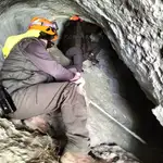 Operativo desplegado por la Junta de Castilla y León para la búsqueda de la osa adulta despeñada por la lucha con un oso macho en la Montaña Palencia