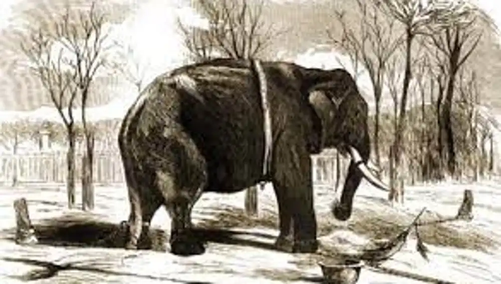 Dibujo de Pizarro en El Retiro