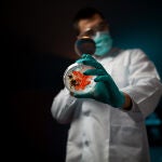 276.000 diagnósticos de cáncer se dan cada año en España, donde mueren 113.000 pacientes por esta razón, por lo que la investigación resulta clave