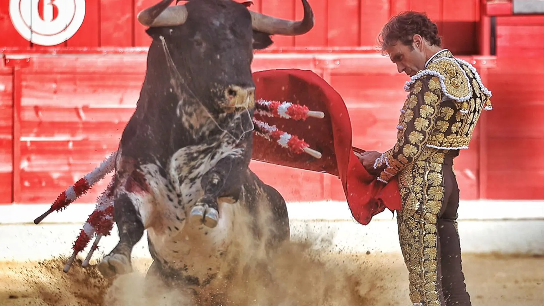 José Tomás, hoy en Jaén