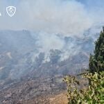 Imagen del incendio forestal en el término municipal de Torrox. CPB MÁLAGA