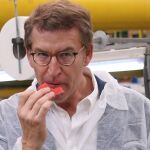 El presidente del PP, Alberto Núñez Feijóo, prueba una sandía durante la visita a la empresa Indasol, donde ha mantenido un encuentro con empresarios del sector agrícola a 15 de junio del 2022 en El Ejido (Andalucía, Almería) 15 JUNIO 2022 Rafael González / Europa Press 15/06/2022