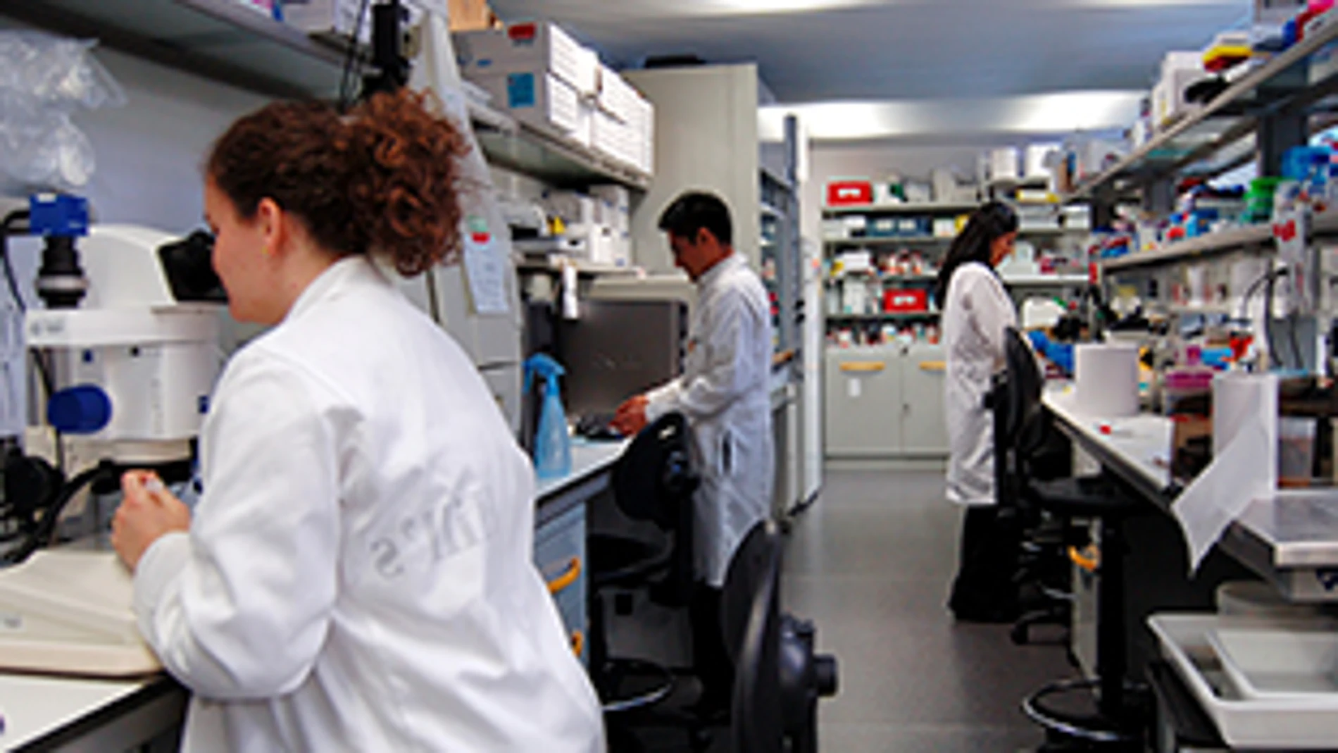 Grupo de investigadores de la Universidad de Salamanca