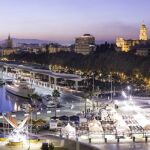 Uno de los cruceros en el Puerto de Málaga