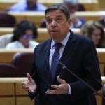 El ministro de Agricultura, Pesca y Alimentación, Luis Planas, interviene durante la sesión de control al Gobierno, este pasado martes 21 de junio en el Senado