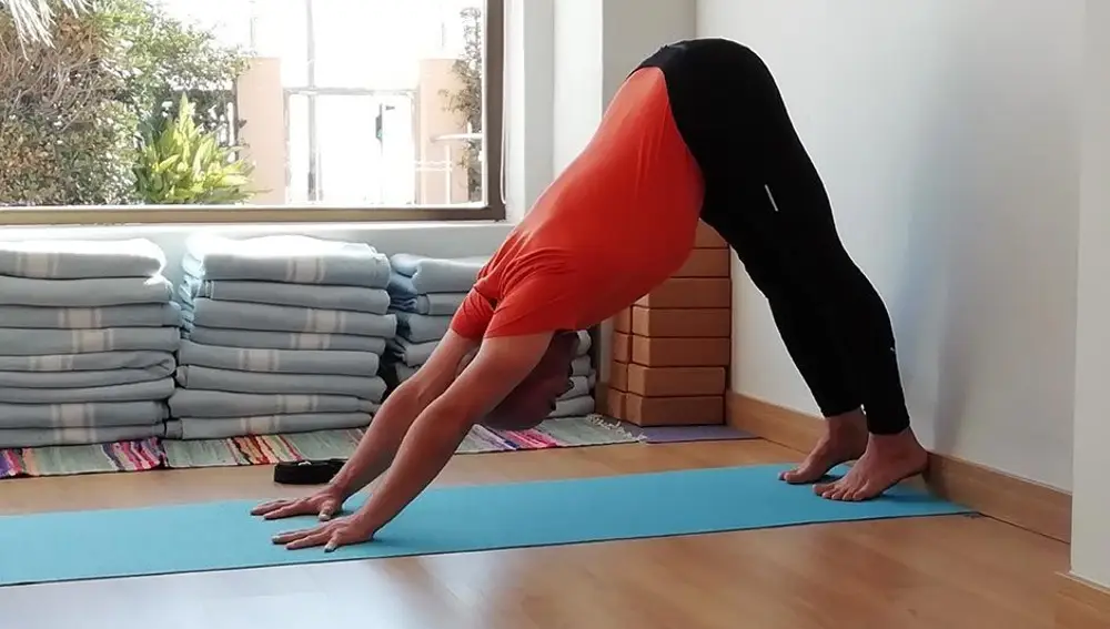 El yoga es un deporte ideal para aliviar y gestionar el estrés y a reforzar el sistema inmunológico