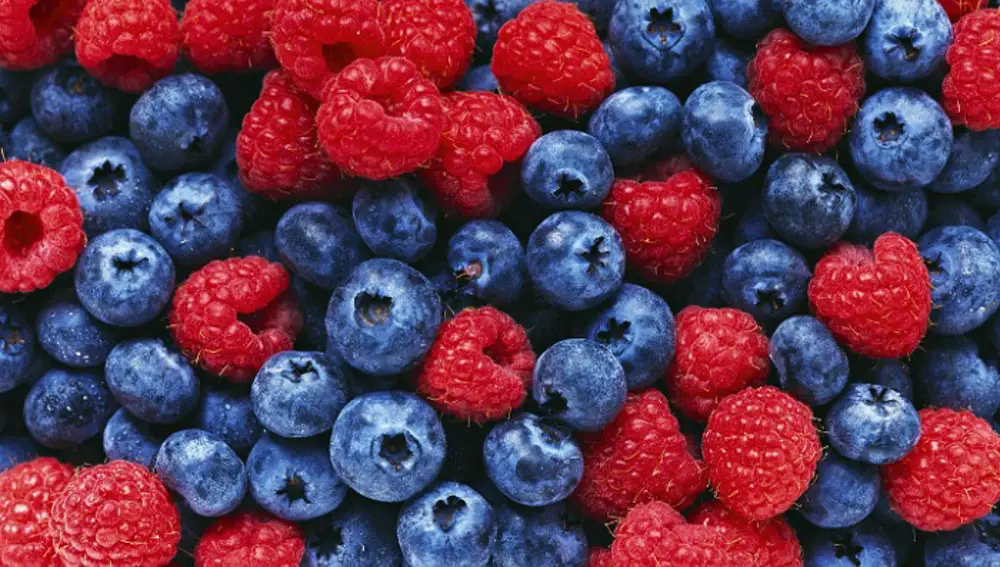Los frutos rojos(arándanos y frambuesas, entre otros), las verduras, los pescados grasos y los cereales integrales son los principales alimentos de la dieta nórdica.