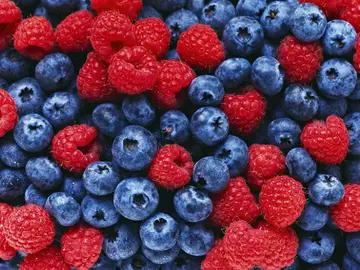 Los frutos rojos(arándanos y frambuesas, entre otros), las verduras, los pescados grasos y los cereales integrales son los principales alimentos de la dieta nórdica. Los frutos rojos(arándanos y frambuesas, entre otros), las verduras, los pescados grasos y los cereales integrales son los principales alimentos de la dieta nórdica.