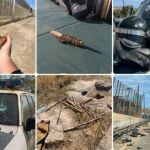 Los inmigrantes utilizaron piedras, palos, radiales, barras de acero y herramientas de corte contra los agentes