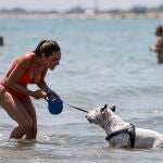 Un perro juega junto a su dueña en la playa canina de Pinedo, pedanía al sur de València