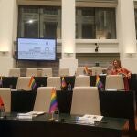 Más Madrid lleva el arcoíris a Cibeles con banderines en los escaños del Pleno y el PSOE chapas con el rostro de Zerolo