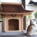 Mansión para perros