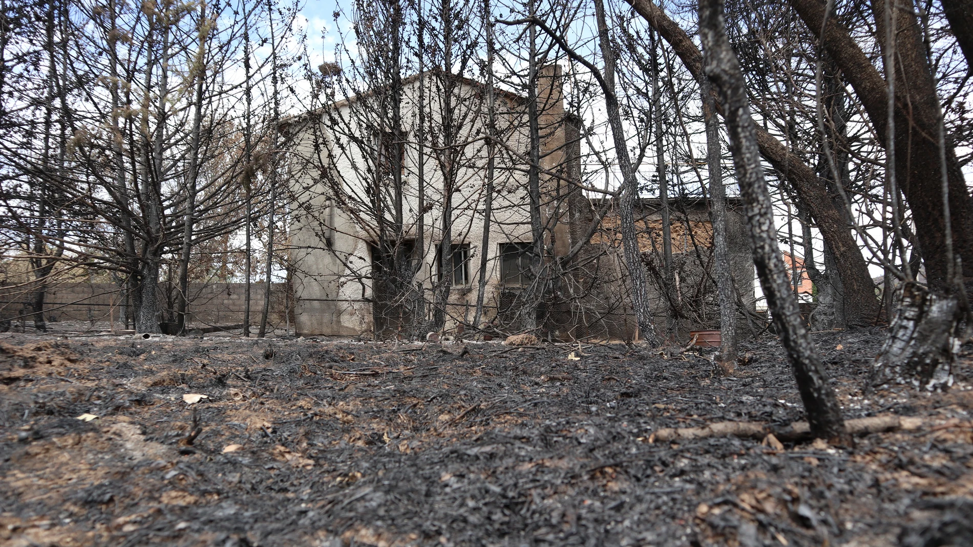 La madera quemada de la Sierra de la Culebra reporta 21 millones de euros