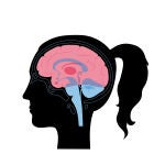 Las mujeres después de la menopausia tienen más lesiones pequeñas en el cerebro que los hombres