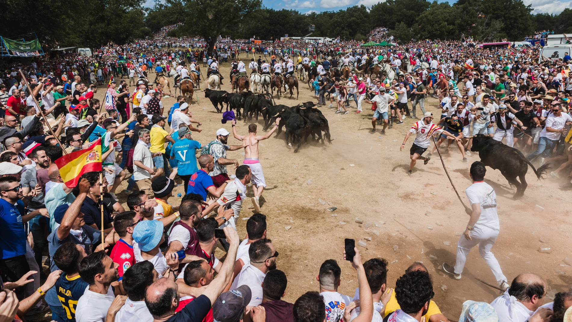 Celebración del Jueves La Saca en Soria dentro de las fiestas de San Juan