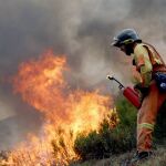 Incendios forestales activos en España, en directo hoy: desalojos y última hora en Ávila, Tenerife y Las Hurdes (Cáceres)