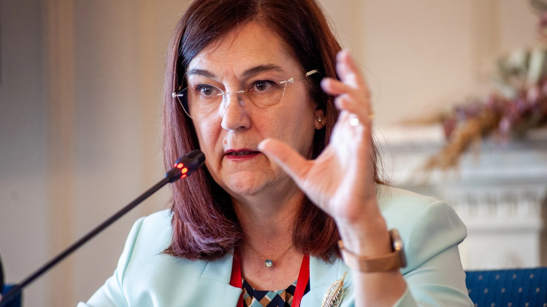 Cani Hernández, presidenta de la CNMC
