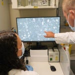 El grupo de Patología Molecular Traslacional del VHIR identificaron hace unos años la proteína MNK1 como posible diana terapéutica para el tratamiento del cáncer