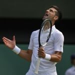 El tenista serbio Novak Djokovic.