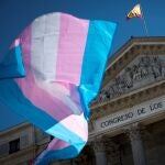 Una bandera del colectivo transexual ondea a las puertas del Congreso, en Madrid
