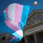 Una bandera del colectivo transexual ondea a las puertas del Congreso, en Madrid