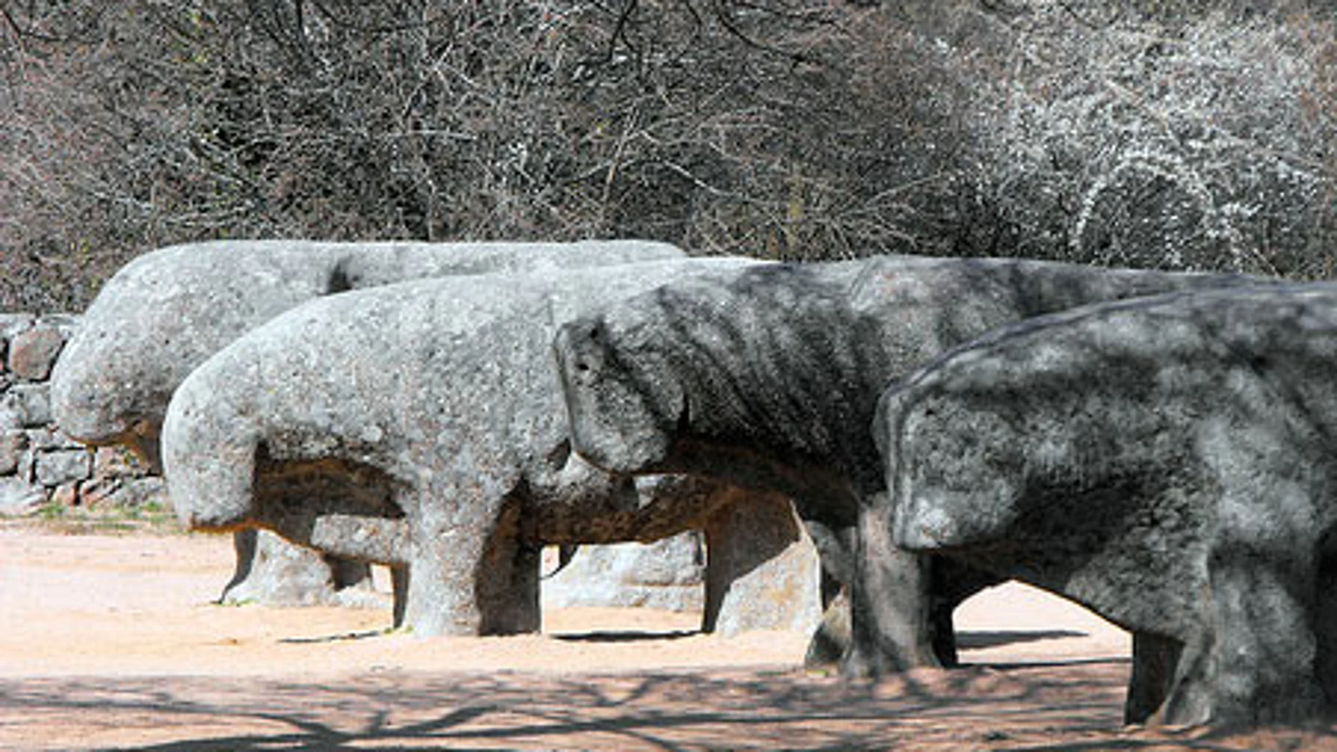 Toros de Guisando en Ávila