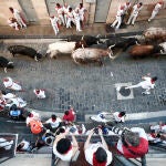 Los toros de la ganadería pacense de Jandilla en los últimos metros de la Cuesta de Santo Domingo