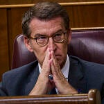 El líder del PP, Alberto Nuñez Feijóo, en el Debate sobre el Estado de la Nación