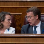 El submarino: Batalla en las solapas