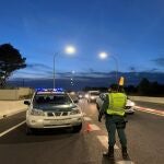 El conductor kamikaze fue detenido por la Guardia Civil