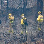 Efectivos del cuerpo de bomberos trabajan en las labores de extinción del incendio declarado en el término de Monsagro, al suroeste de Salamanca