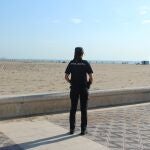 El detenido, que tiene dos requisitorias para entrar en prisión, ha pasado a disposición judicial