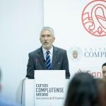 El ministro del Interior, Fernando Grande-Marlaska, durante el curso 'El futuro inmediato del terrorismo yihadista: tendencias globales, conflictos regionales y dinamicas internas', en los Cursos de Verano de la Universidad Complutense. MIGUEL J. BERROCAL 18/07/2022