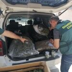 Agentes interceptan 18 kilos de marihuana