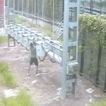 Un miembro de la banda deja sin tensión un tramo del tendido para que sus compañeros roben el cable
